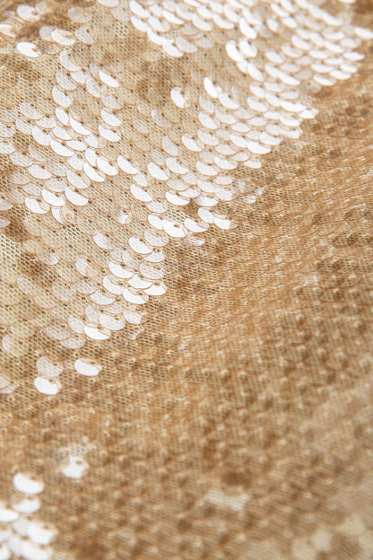 ADEN Sequin Mini Dress